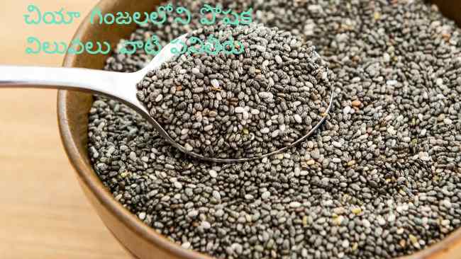 chia seeds in Telugu