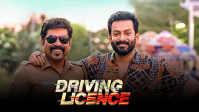 Photo of Driving License  web series review