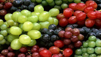 Photo of Grapes: ద్రాక్ష వలన ఎన్ని లాభాలో తెలిస్తే ఆశ్చర్యపోతారు